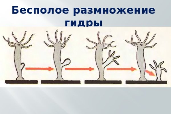 Кракен интернет площадка