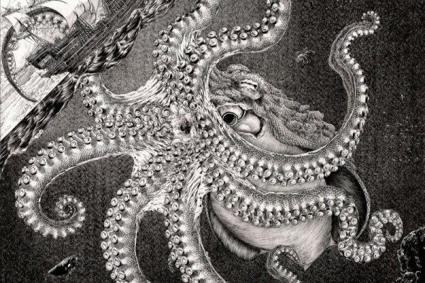 Ссылка на kraken торговая площадка