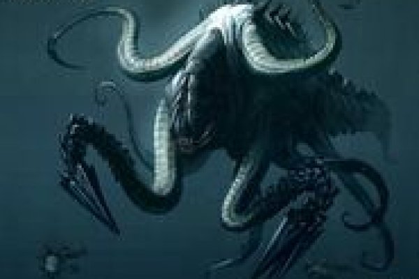 Kraken link