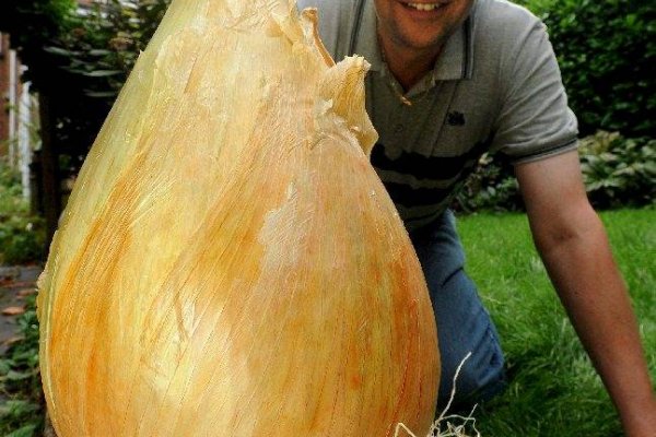Какая сейчас ссылка на кракен