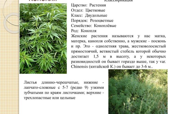 Кракен онион